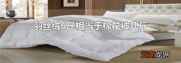 羽丝绒6斤相当于棉花被几斤
