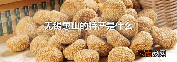 无锡惠山的特产是什么