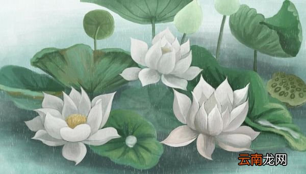 爱莲说拼音版原文 爱莲说原文注音