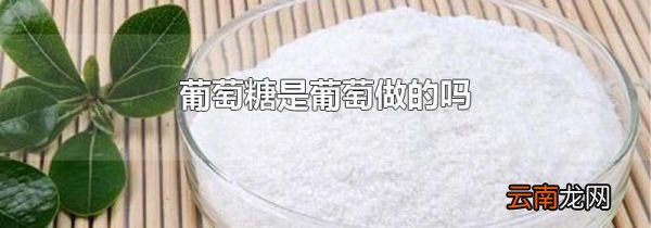 葡萄糖是葡萄做的吗