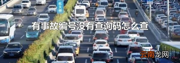 有事故编号没有查询码怎么查