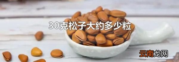 30克松子大约多少粒