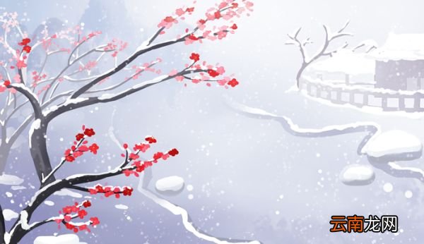 雪梅中把雪和梅作对比的句子是 雪梅中雪和梅对比的诗句