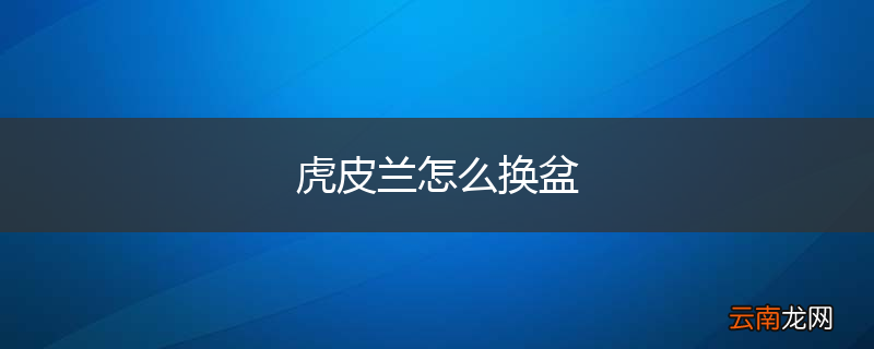 虎皮兰怎么换盆