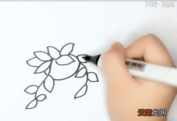吊篮的简笔画