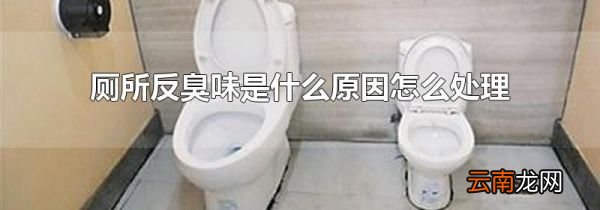 厕所反臭味是什么原因怎么处理