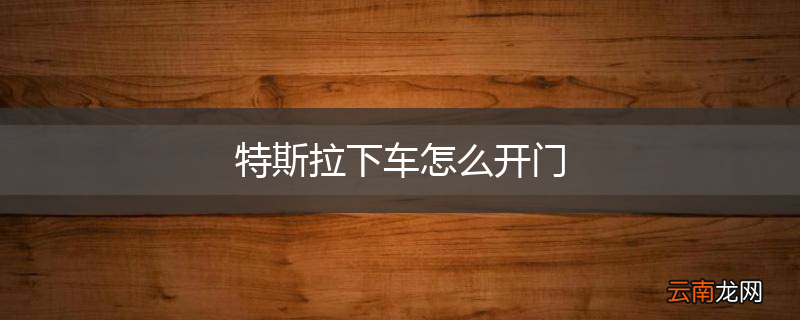 特斯拉下车怎么开门