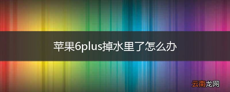 苹果6plus掉水里了怎么办