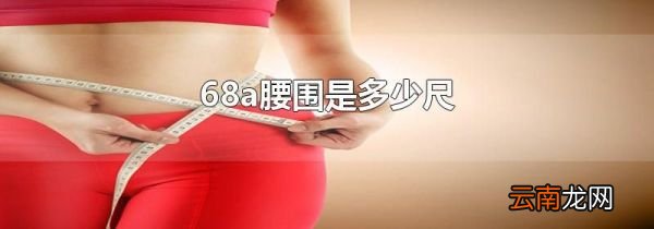 68a腰围是多少尺