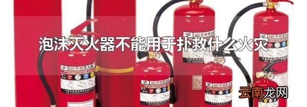 泡沫灭火器不能用于扑救什么火灾