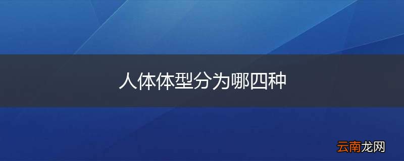 人体体型分为哪四种