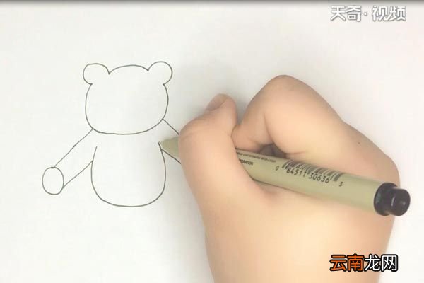 布偶熊简笔画