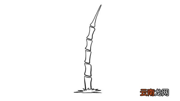 竹子简笔画 竹子简笔画画法