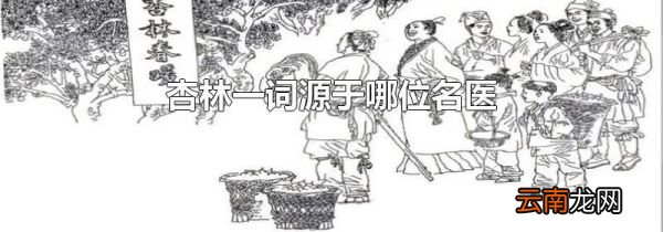 杏林一词源于哪位名医