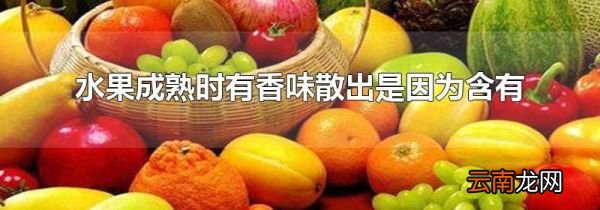 水果成熟时有香味散出是因为含有