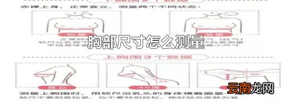 胸部尺寸怎么测量