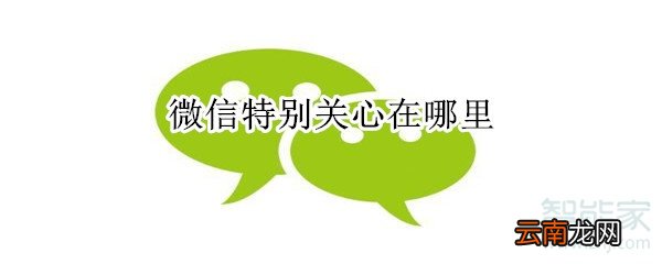 微信特别关心在哪里