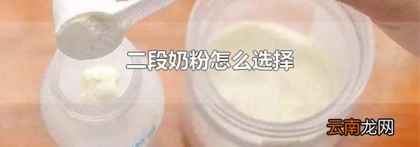 二段奶粉怎么选择