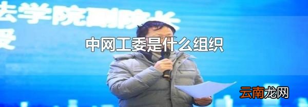 中网工委是什么组织