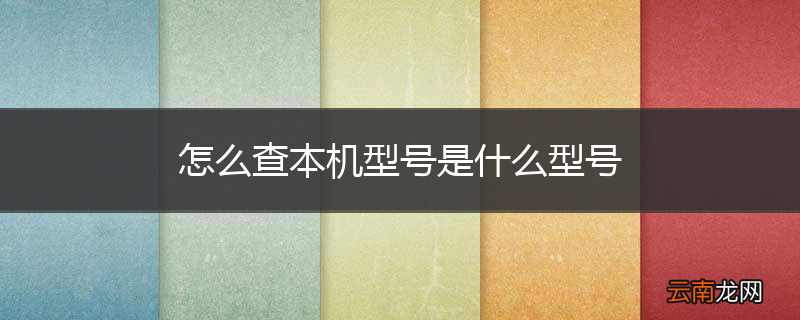 怎么查本机型号是什么型号