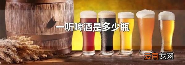 一听啤酒是多少瓶