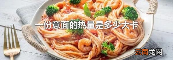 一份意面的热量是多少大卡