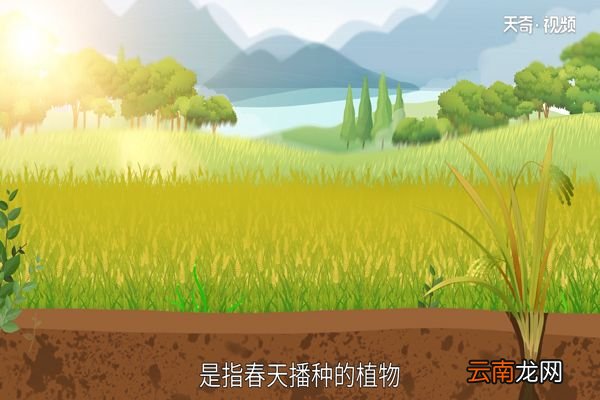 立夏是什么意思