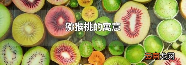 猕猴桃的寓意