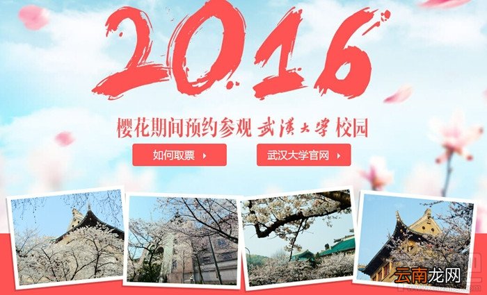 2016武汉大学观看樱花哪里预约 武大观赏樱花预约取票教程