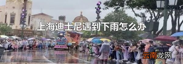 上海迪士尼遇到下雨怎么办