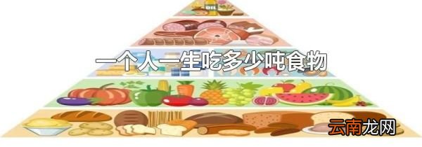 一个人一生吃多少吨食物