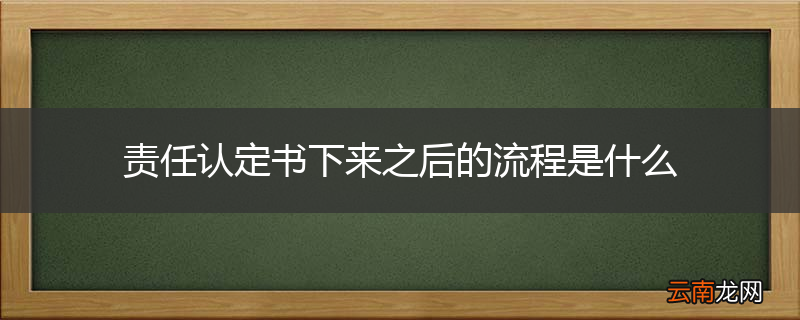责任认定书下来之后的流程是什么