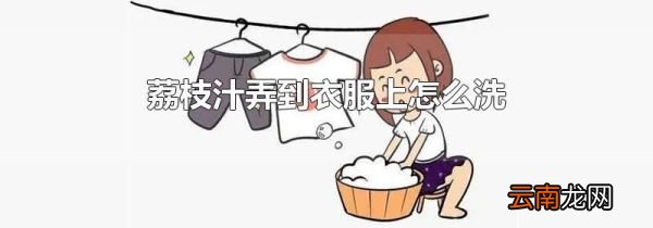 荔枝汁弄到衣服上怎么洗