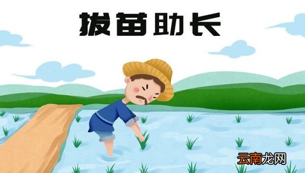 揠苗助长的人错在哪里 揠苗助长出自哪