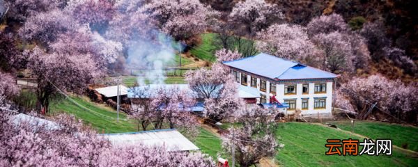 仿佛若有光的仿佛什么意思 桃花源记描写了什么