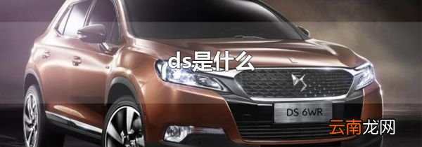 ds是什么