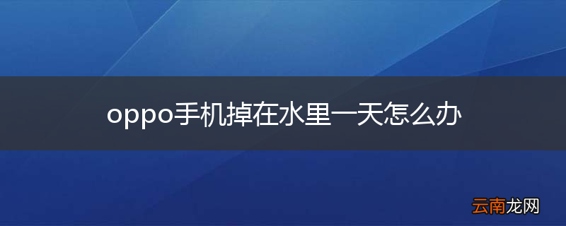oppo手机掉在水里一天怎么办