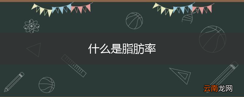 什么是脂肪率