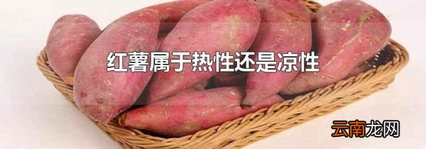 红薯属于热性还是凉性