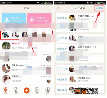 在爪爪里遛狗的操作过程