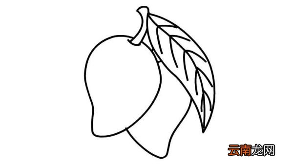 芒果简笔画 芒果简笔画怎么画