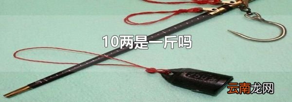 10两是一斤吗