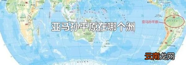 亚马孙平原在哪个洲