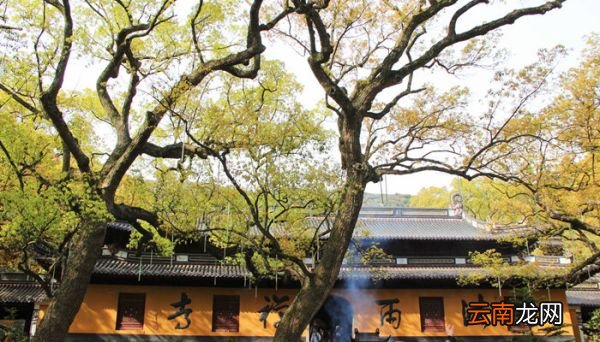 普陀山属于哪个区 普陀山属于什么区