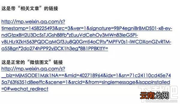 微信又推新功能：底部增加"相关文章"阅读
