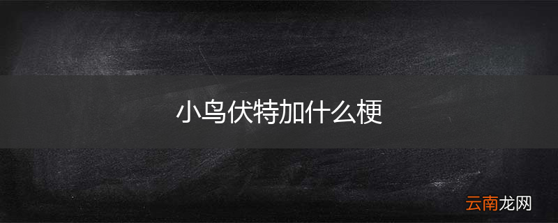 小鸟伏特加什么梗