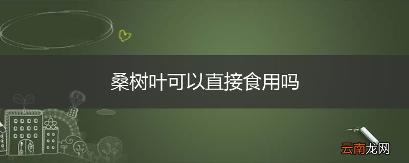 桑树叶可以直接食用吗