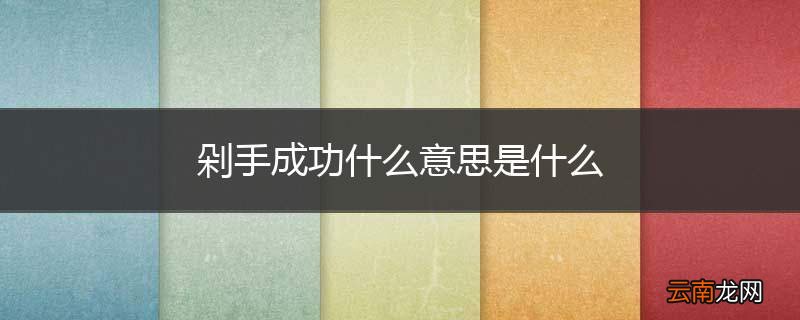 剁手成功什么意思是什么