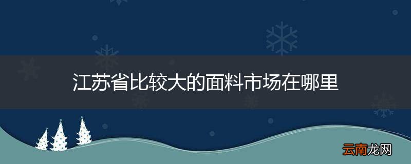 江苏省比较大的面料市场在哪里