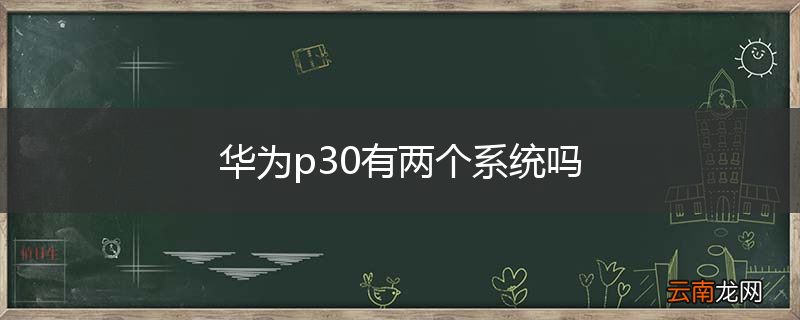 华为p30有两个系统吗